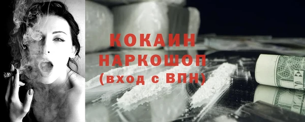 гидра Белоозёрский