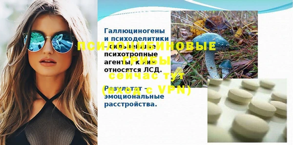 гидра Белоозёрский