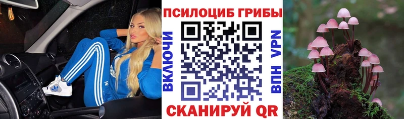Купить где  Бердск  Псилоцибиновые грибы Psilocybine cubensis 